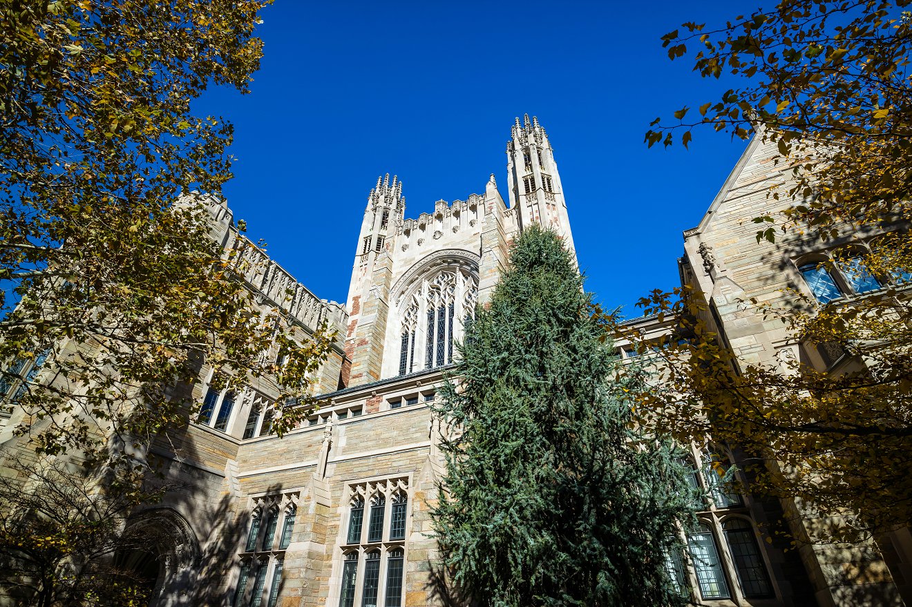 语言成绩不达标