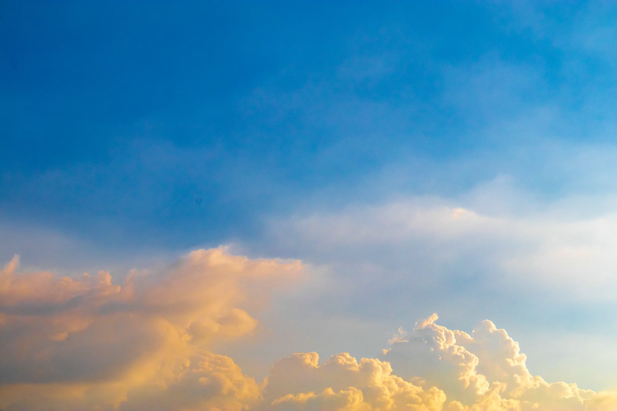 澳门留学升温！性价比碾压欧美？认可度真能打吗？