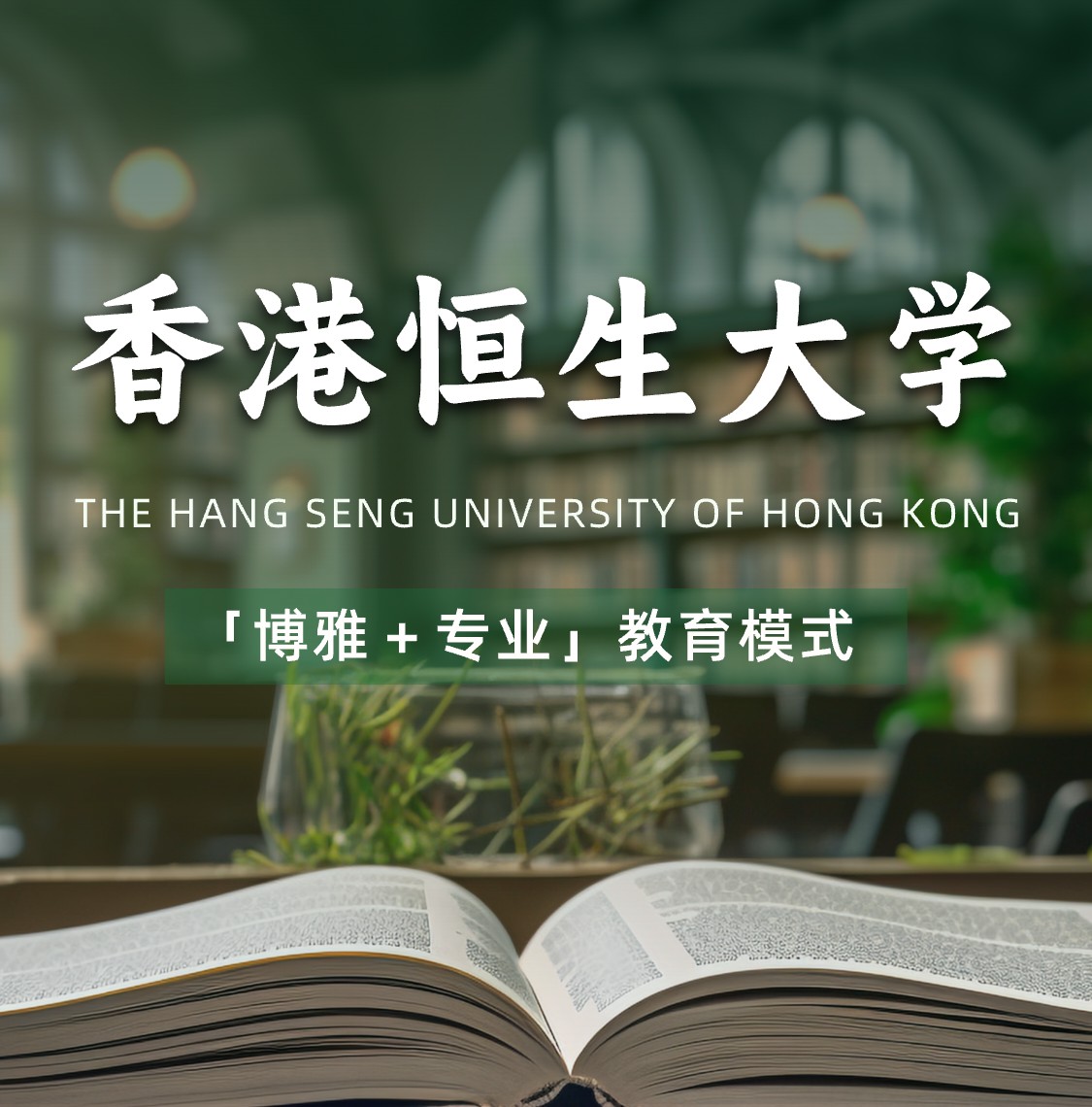 香港恒生大学申请条件