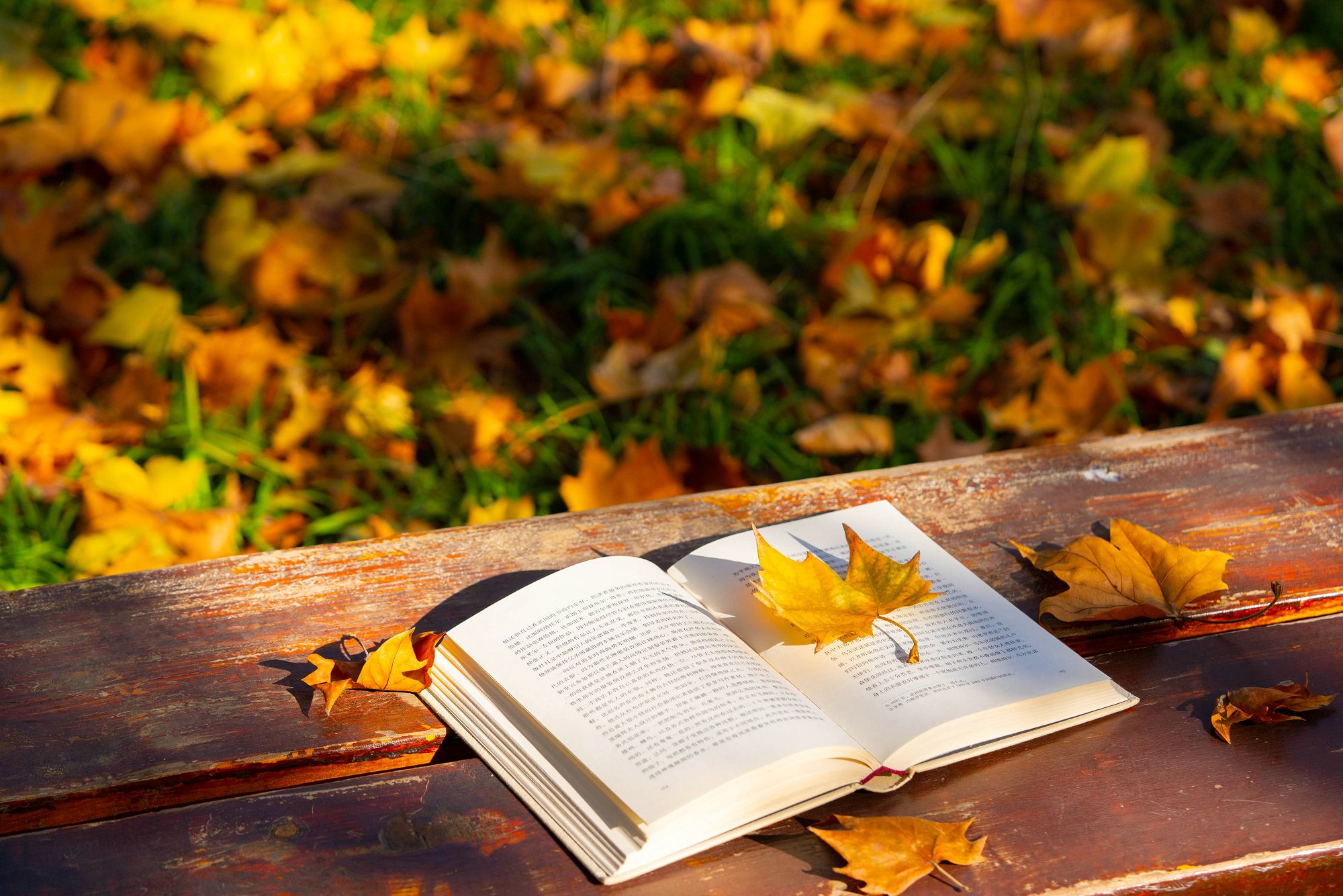 留学生考公考编