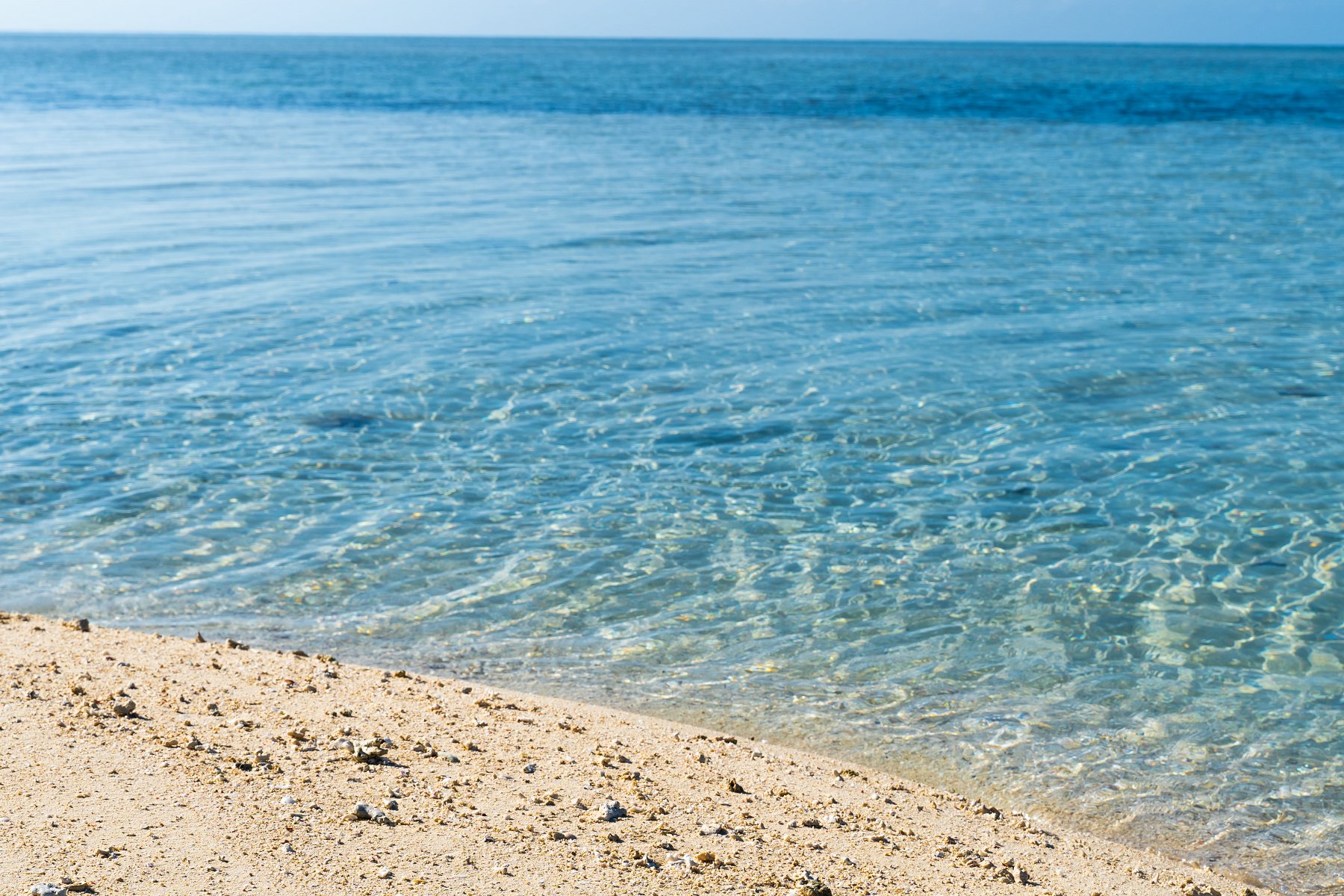 同样是硕士，留学和国内读研差距到底有多大？看完秒懂