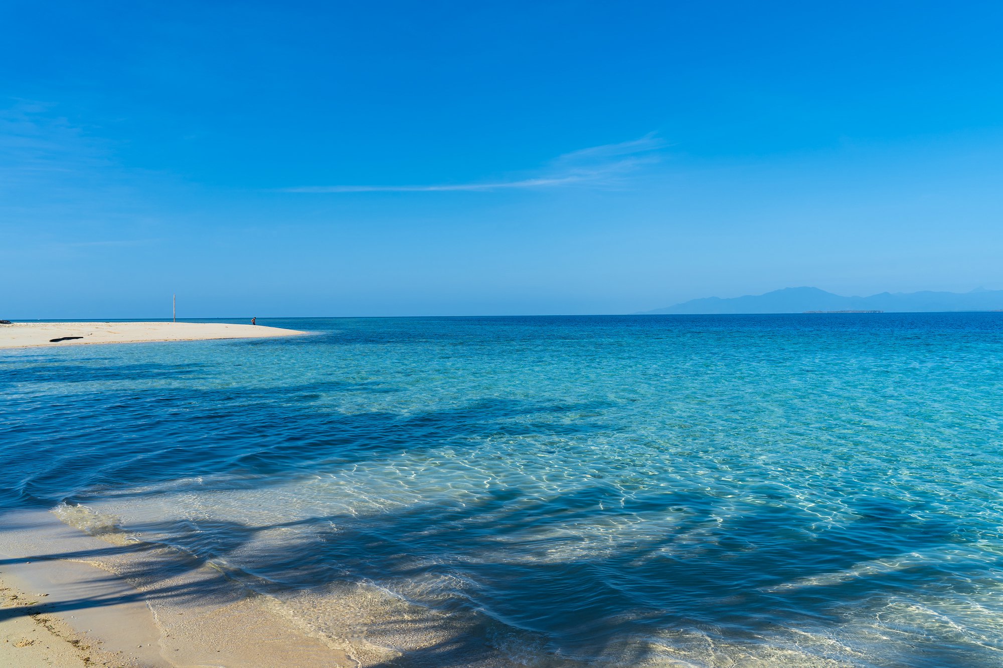 海归真的不值钱了