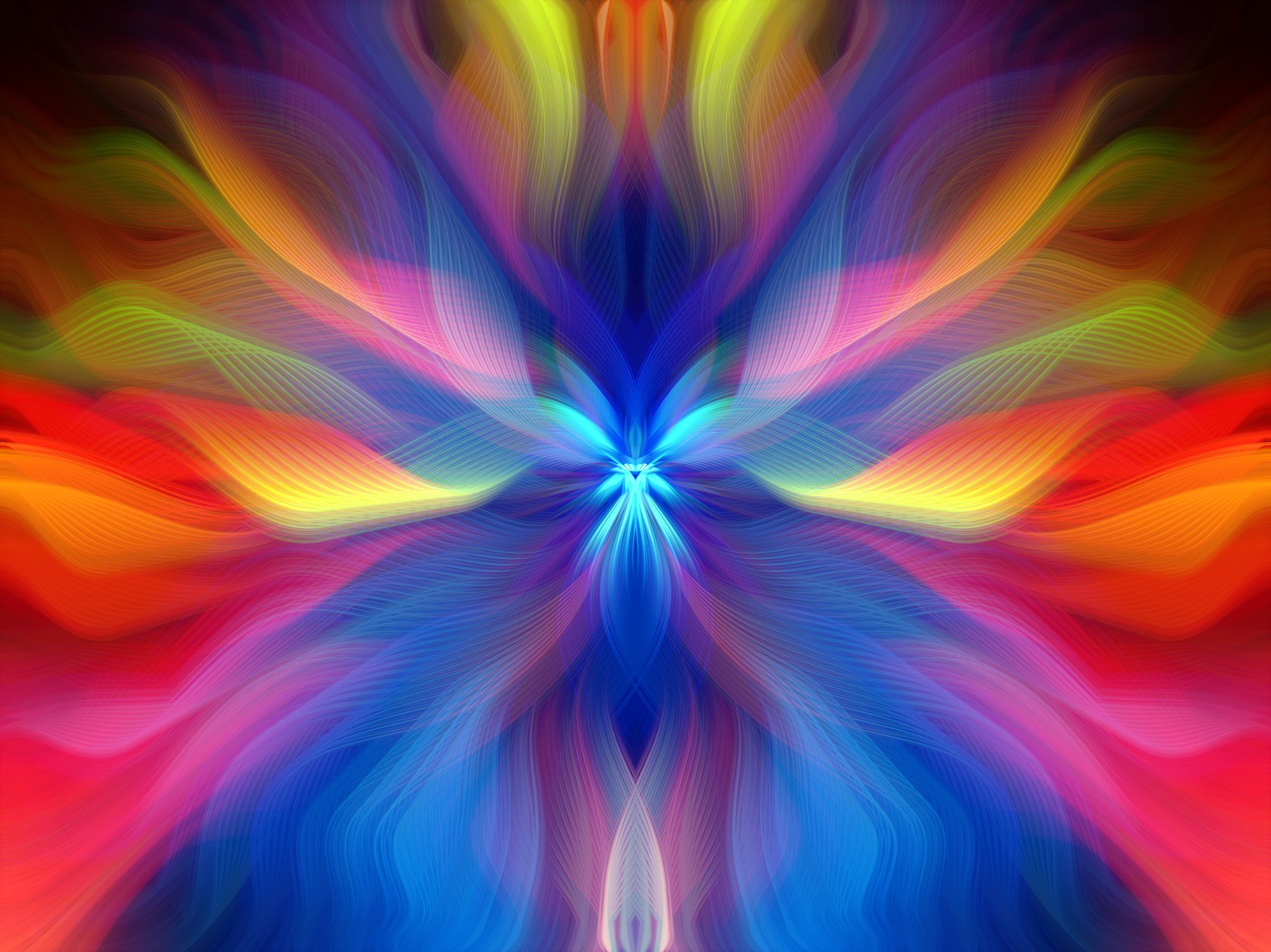 美术学_Fine Arts