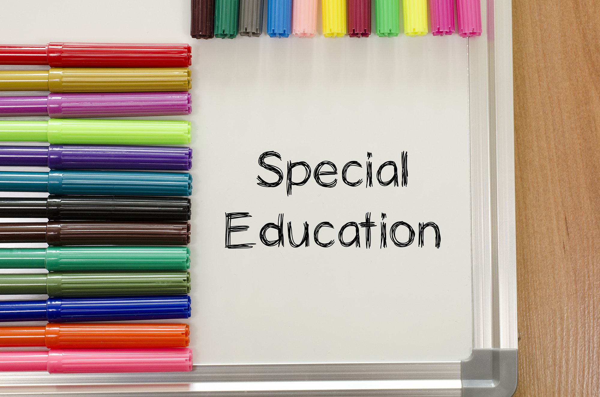  特殊教育_Special Education SEO 
