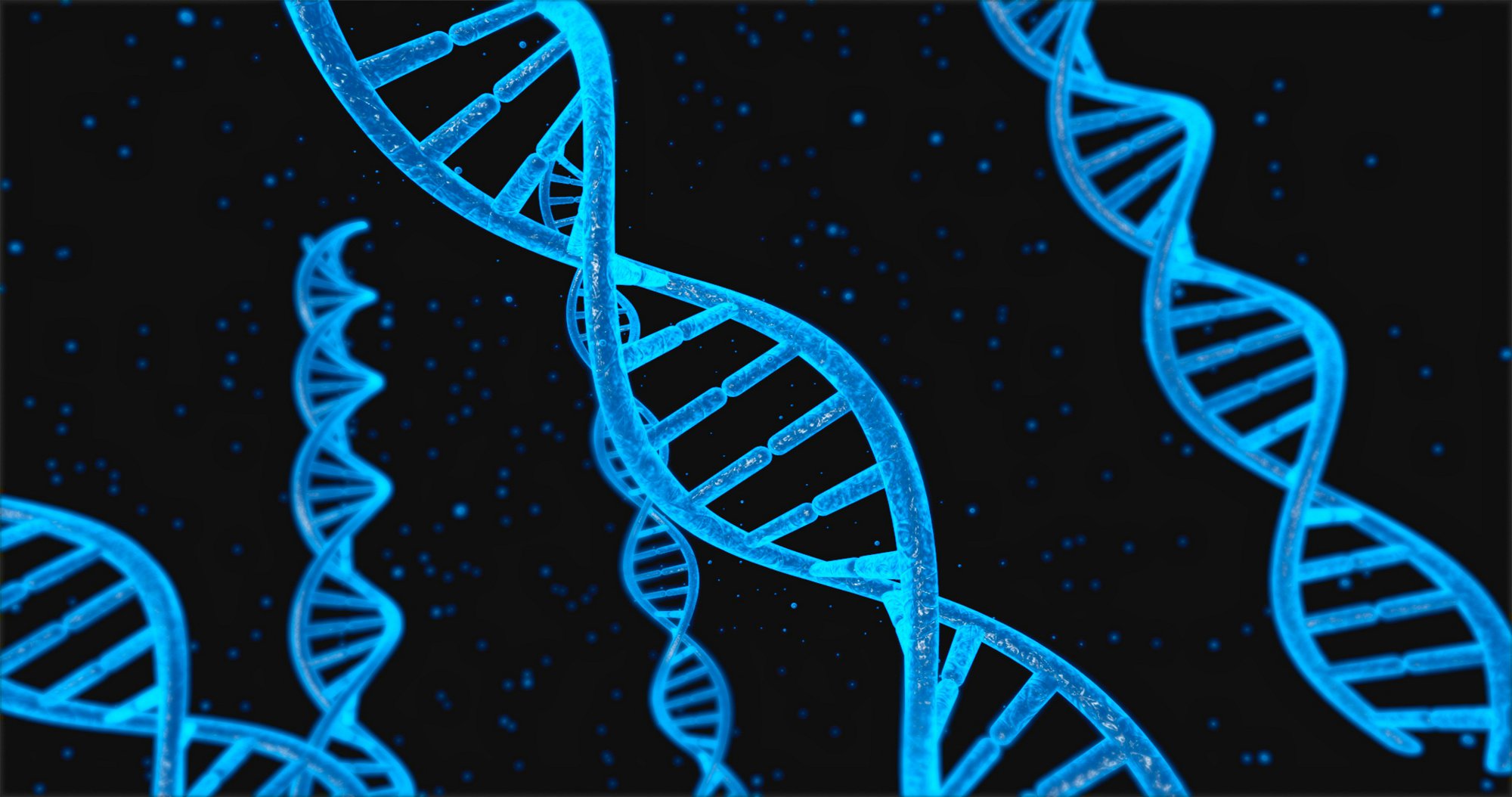 生物人类学_Biological Anthropology