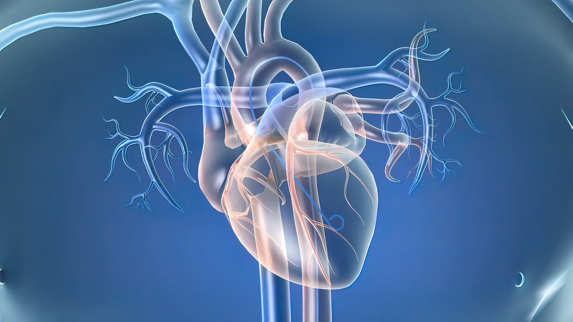 心血管科学_Cardiovascular Science