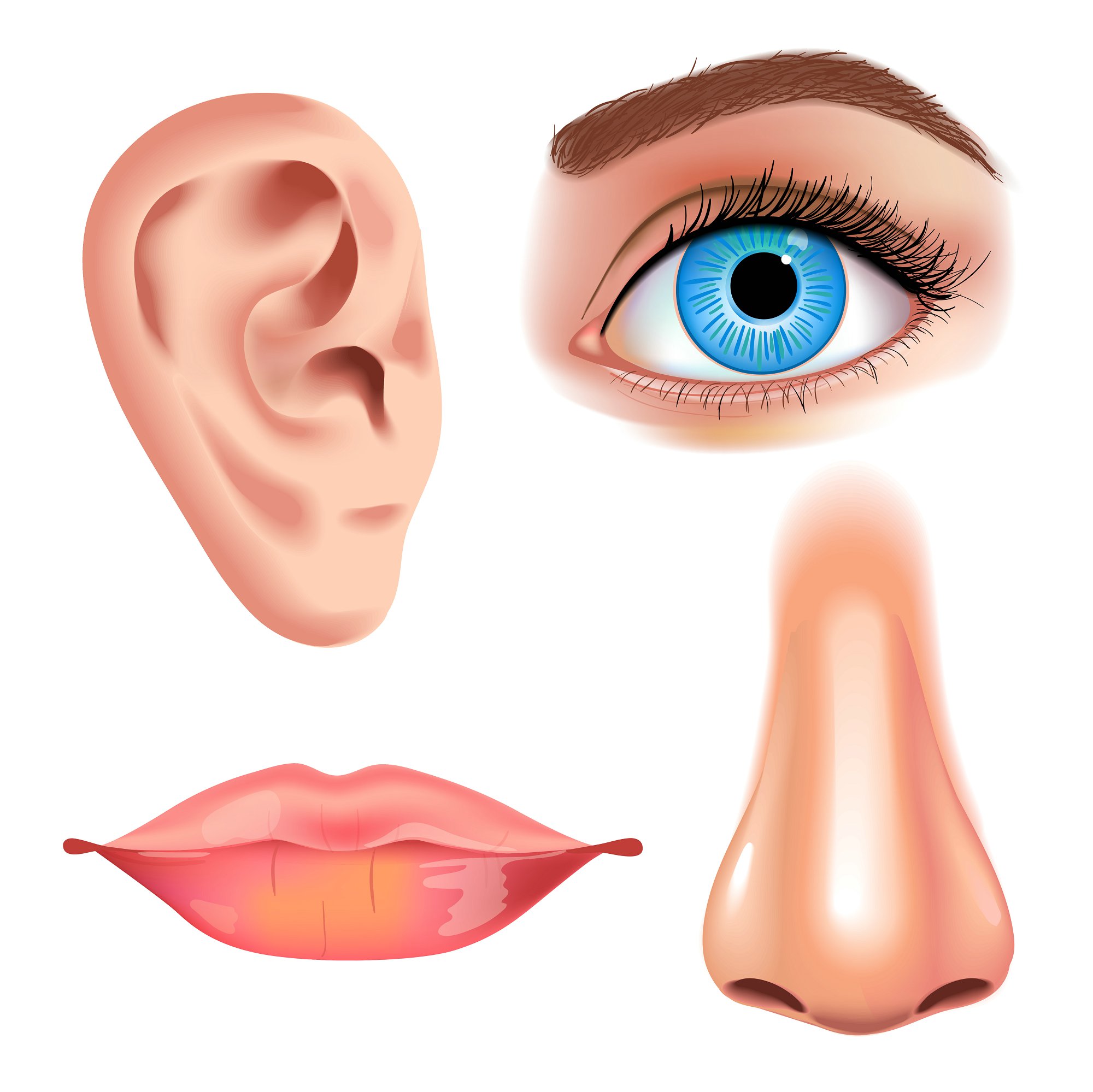 人体生物学_Human Biology